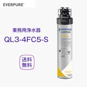 PENTAIR EVERPURE 4CB5-S ヘッド付き浄水器カートリッジ 51fzmiqTXgL._AC_UL210_SR210,