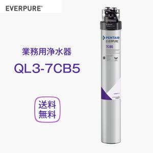 エバーピュア QL3-7CB5 浄水器 業務用 フィルターヘッド付