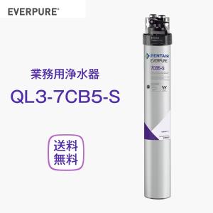 エバーピュア QL3-7CB5-S 浄水器 業務用 フィルターヘッド付