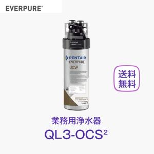 エバーピュア 2FC-S 浄水器カートリッジ 業務用 : 厨房 キッチン