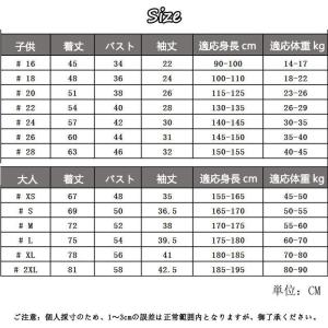 サッカーレプリカユニフォーム 22-23ドイツ...の詳細画像1
