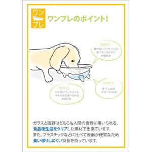 犬用食器 ワンプレ ワンコプレート 磁器 マン...の詳細画像4