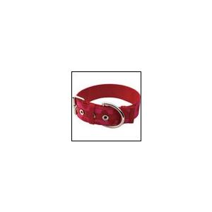 名前と電話番号が刻印可能の犬の首輪 ビッグドットカラー＋IDプレート ピンク birdie バーディ