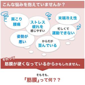 ヨガポール ストレッチ ストレッチローラー シ...の詳細画像1