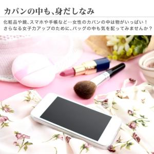 バッグインバッグ 薄型 軽い 自立 整理 クリ...の詳細画像2