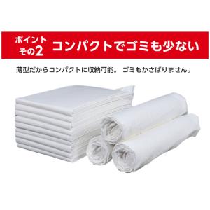 ペットシーツ 800枚 +10枚 レギュラー ...の詳細画像2