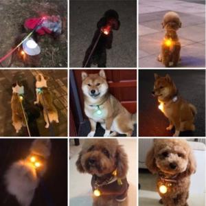 LEDライト ペット 犬 お散歩ライト カラー...の詳細画像3