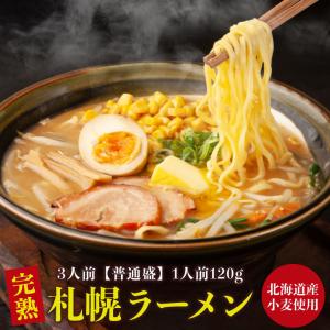 ラーメン 送料無料 北海道 生ラーメン セット 3食 生麺 札幌 熟成 札幌 味噌ラーメン らーめん サッポロラーメン 詰め合わせ 味噌 みそ 塩 醤油