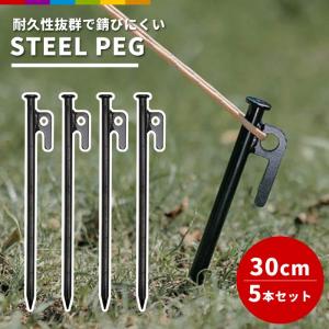 スチールペグ 4本セット ペグ 杭 頑丈 強固 20cm 30cm テント タープ