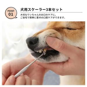 犬 スケーラー 歯石取り ペンチ 器具 ペット...の詳細画像1