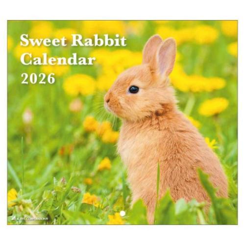 壁掛けカレンダー2026年 Sweet Rabbit 2026 Calendar うさぎ アクティブ...