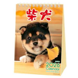 卓上カレンダー2026年 森田米雄 まるごと柴犬...の商品画像