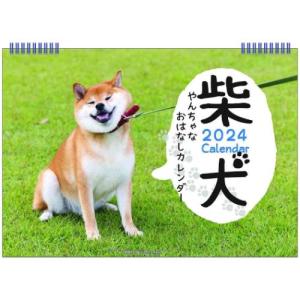 壁掛けカレンダー2024年 柴犬やんちゃなおはなしカレンダー B5 2024Calendar いぬ APJ 令和6年暦｜cinemacollection-yj