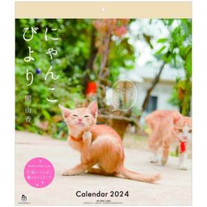 2024Calendar 仔猫 にゃんこびより 関由香 壁掛けカレンダー2024年 ねこ スケジュール 動物写真 書き込み インテリア｜cinemacollection-yj