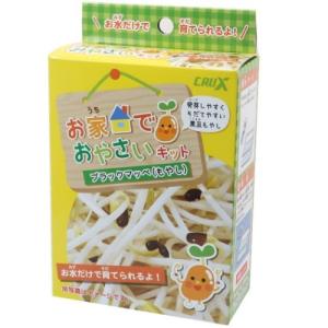 お家でおやさいキット 机上野菜栽培キット ベジタブルセット ブラックマッペ もやし