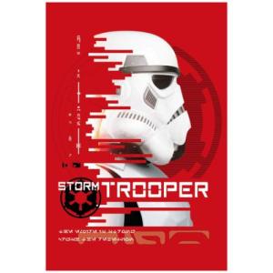 スターウォーズ キャシアンアンドー ポストカード STAR WARS POSTCARD キャラクター Cクリスマス プレゼント 福袋 男の子 女の子