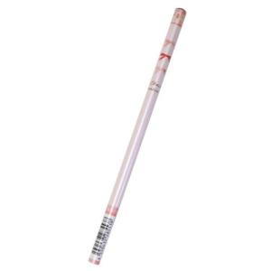 赤鉛筆 丸軸あかえんぴつ チェックエモーションズ カミオジャパン 新学期準備文具