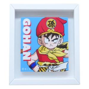 ドラゴンボール ドラゴンボールZ フレームマグネット 磁石 アニメ