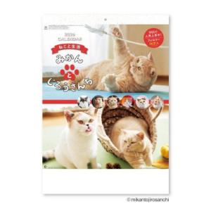 50％OFF】2026Calendar 午 夢 壁掛けカレンダー2026年 岡本肇