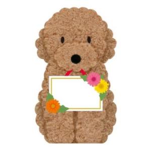 グリーティングカード タモクテキ MU35-8 メッセージカード 多目的 トイプードルプレート いぬ サンリオ バースデーカード