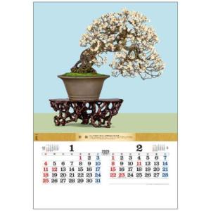 盆栽12 50％OFF】壁掛けカレンダー2026年 盆栽DX 2026 Calendar トーダン