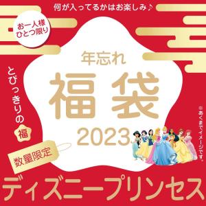 ディズニープリンセス 年忘れ 福袋 2023 キャラクターグッズ 送料無料｜cinemacollection