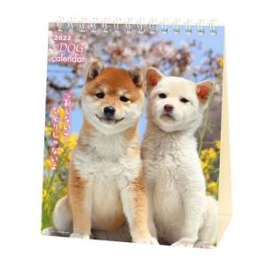 22年 カレンダー 犬川柳 卓上 いぬ ドッグ スケジュール かわいい 動物 写真 書き込み キャラクターのシネマコレクション 通販 Paypayモール