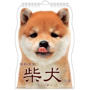 2023 Calendar 柴犬です 壁掛けカレンダー2023年 ダイカット いぬ アクティブコーポレーション プレゼント 男の子 女 バレンタイン