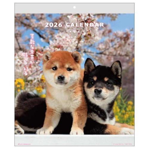 2026 Calendar DOGウォールカレンダー 壁掛けカレンダー2026年 いぬ スケジュール...