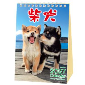 森田米雄 2027 Calendar 卓上カレンダー2027年 まるごと柴犬 スケジュール いぬ 動物写真 書き込み インテリア 令和9年暦