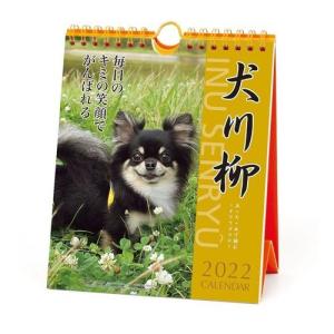 チワワ 犬川柳 週めくり 令和4年 暦 2022年 カレンダー 書き込み 壁掛け 卓上 スケジュール いぬ ドッグ プレゼント 男の子 バレンタイン