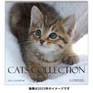 2024Calendar Cats Collection 山下寅彦 壁掛けカレンダー2024年 ねこ スケジュール｜cinemacollection