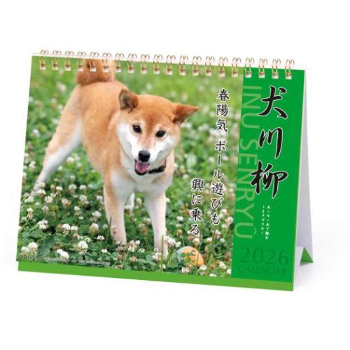 卓上カレンダー2026年 犬川柳 2026Calendar いぬ APJ 卓上 スケジュール