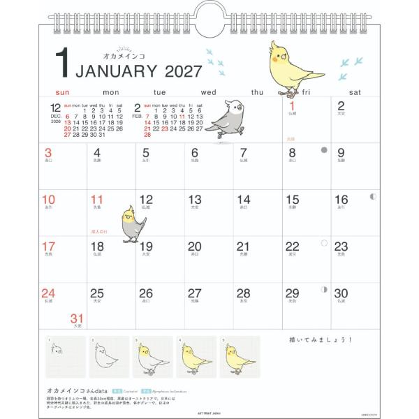 BIRDSTORY 2027Calendar 壁掛けカレンダー2027年 かわいい鳥の描き方 30角...