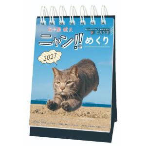 2027Calendar 卓上カレンダー2027年 ニャン！！めくり 日めくり ねこ かわいい 写真 インテリア 令和9年暦 APJ