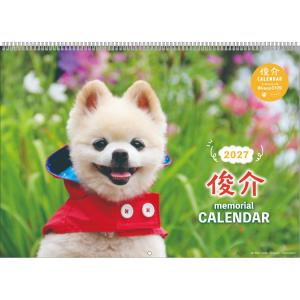 2027Calendar 壁掛けカレンダー2027年 俊介 いぬ かわいい 写真 インテリア 書き込み スケジュール 令和9年暦 AP