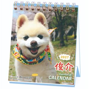 2027Calendar 卓上カレンダー2027年 週めくりミニ 俊介 いぬ かわいい 写真 インテリア 書き込み スケジュール 令和9年暦