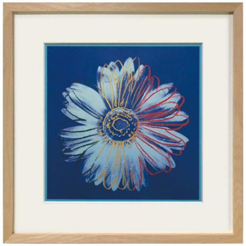 アートポスター アンディ ウォーホール Andy Warhol Daisy c.1982(blue ...