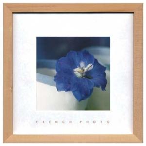 フレンチフォトグラフィー 写真 アート French Photography Delphinium elatum 美工社