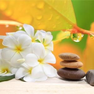 プチ キャンバスアート 写真 アート Petit Canvas Art アジアンリゾート1 美工社 30×30×2.5cm フレームレス