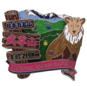 ピンバッジ 日本百名山 光岳 1段 ピンズ エイコー コレクションケース