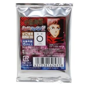呪術廻戦 まるかくカンバッジ2  Accessories