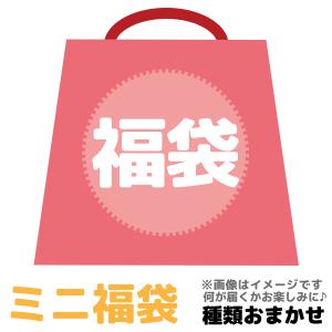 女の子向け ミニ 福袋 おまけつき 文房具にかわいい雑貨 女子向けグッズどっさりお得
