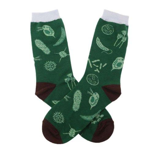 女性用靴下 STUDY HOLIC 靴下 微生物学 Green Flash