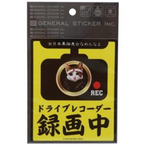 ドライブレコーダー ステッカー なめんなよ カーステッカー 黄色 なめ猫 ゼネラルステッカー 耐水耐光仕様