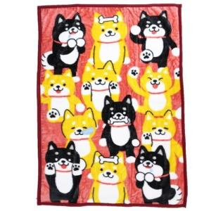 ビッグ マイヤー ブランケット 犬 防寒用品 ハーフ毛布