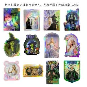 ダイカットシール ウィキッド 永遠の約束 オーロラステッカーコレクション 全12種の内どれか1個 コレクション雑貨 単品 日本製