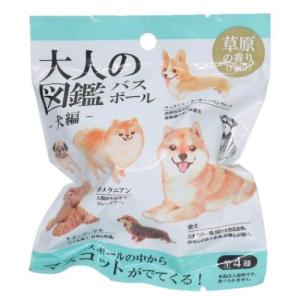 入浴剤 プリングルズ バスチップス 18個入セット お菓子パッケージ