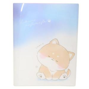 もののけ姫 A4クリアファイル エボシ 887999 : キャラクター雑貨