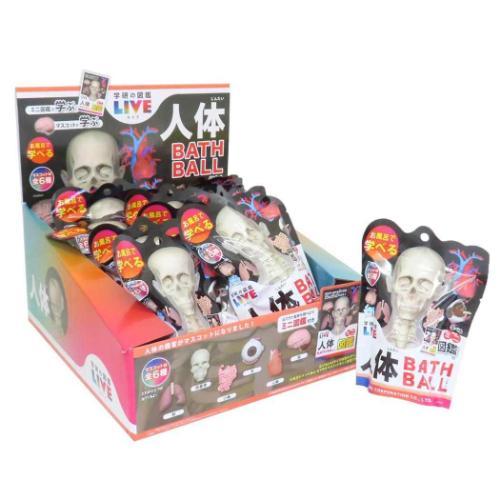 入浴剤 学研の図鑑ライブ 人体バスボール 全6種 20個入セット 子供とお風呂 おもしろ雑貨